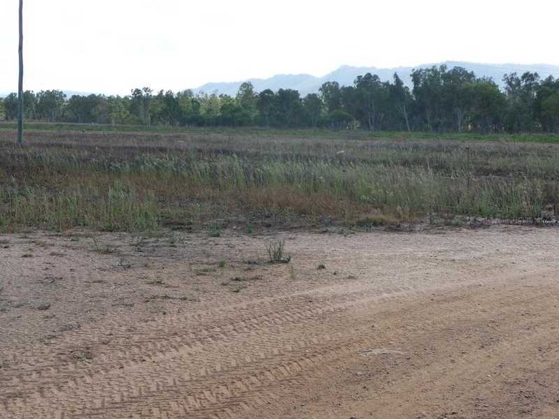 Mutchilba Road, Mutchilba QLD 4872