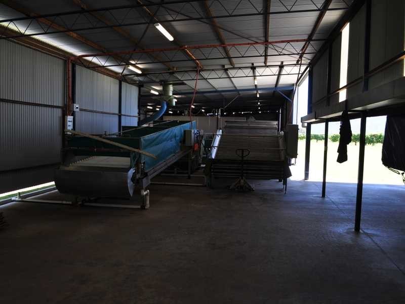 Algoma Road, Mareeba QLD 4880