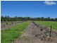 Algoma Road, Mareeba QLD 4880