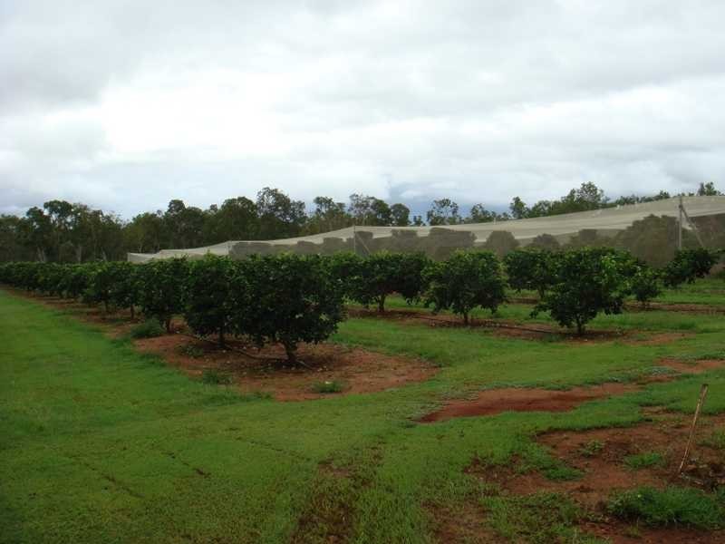 398 Chewko Road, Mareeba QLD 4880