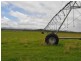 196 Borzi Road, Mareeba QLD 4880