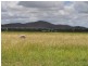 196 Borzi Road, Mareeba QLD 4880