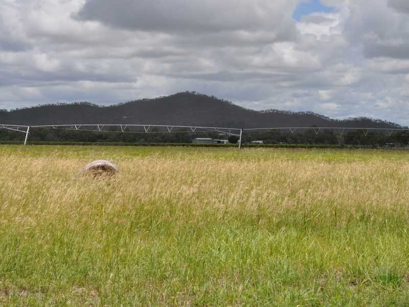 196 Borzi Road, Mareeba QLD 4880