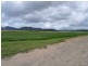 196 Borzi Road, Mareeba QLD 4880