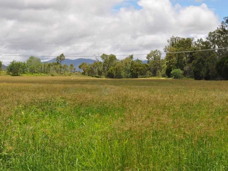 196 Borzi Road, Mareeba QLD 4880