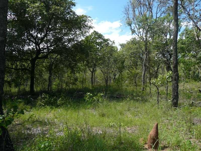 60 Leafgold Weir Road, Dimbulah QLD 4872