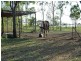 57 Cypress Road, Biboohra QLD 4880