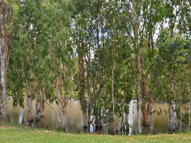 57 Cypress Road, Biboohra QLD 4880