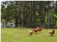 57 Cypress Road, Biboohra QLD 4880