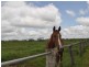 96 Masterson Road, Mutchilba QLD 4872