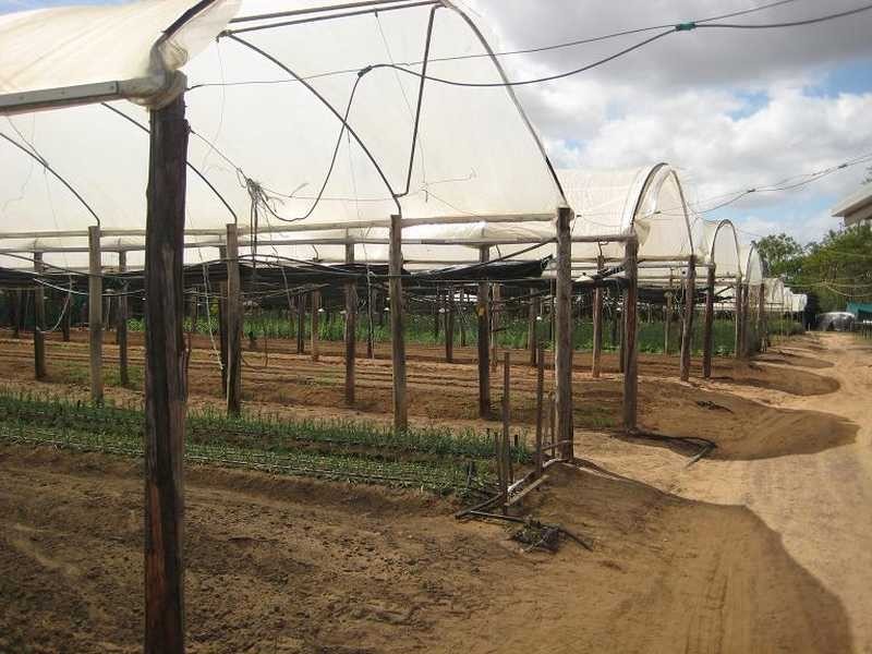 134 Bilwon Road, Biboohra QLD 4880