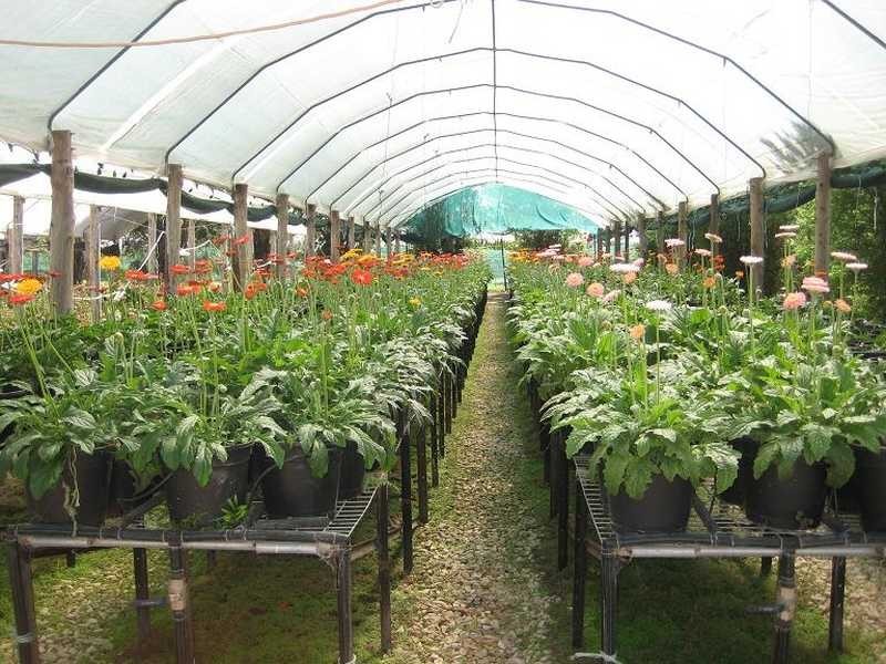 134 Bilwon Road, Biboohra QLD 4880