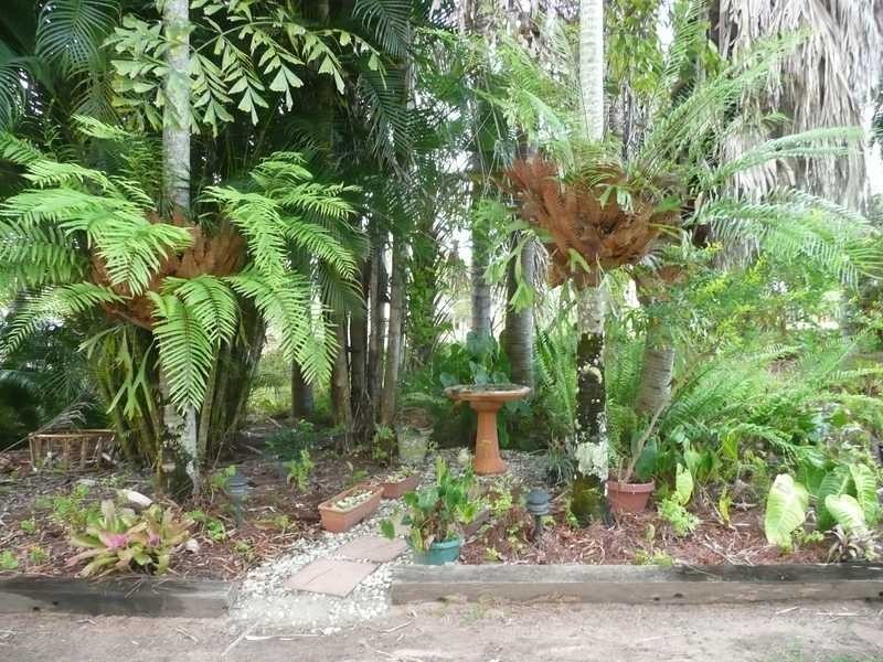 134 Bilwon Road, Biboohra QLD 4880