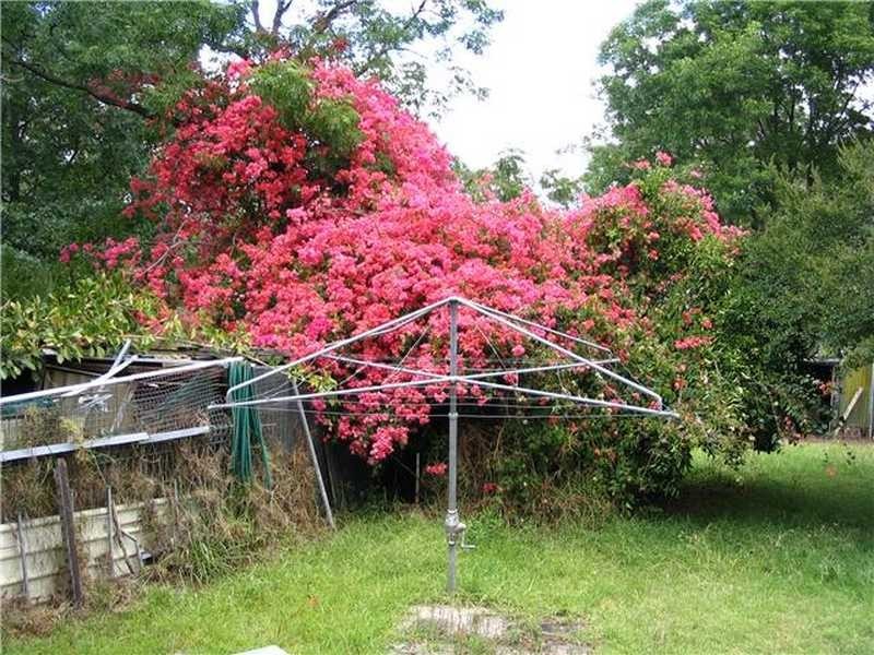 126 Pitt Town Road, Kenthurst NSW 2156