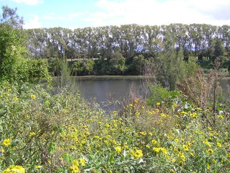 123 Freemans Reach Rd, Freemans Reach NSW 2756