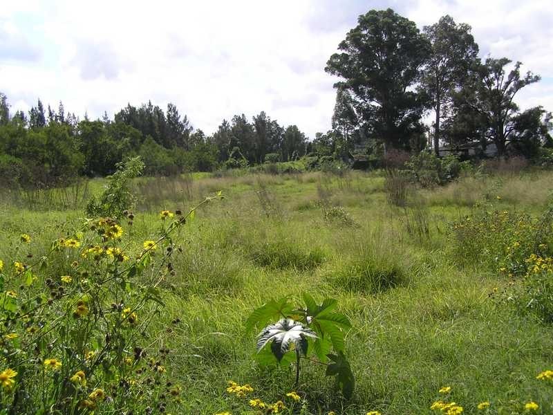 123 Freemans Reach Rd, Freemans Reach NSW 2756