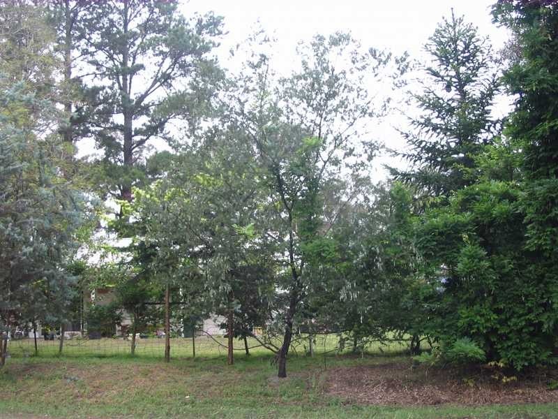 139 Porters Road, Kenthurst NSW 2156