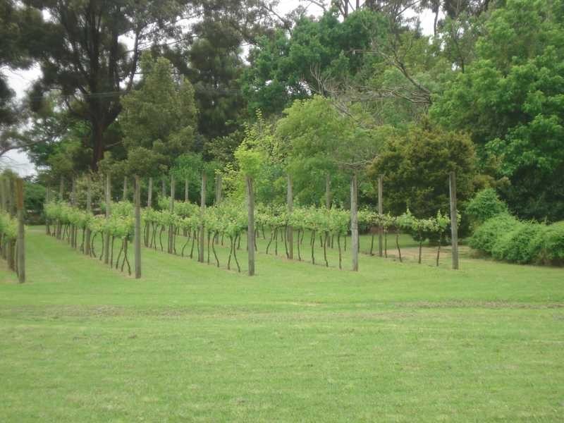 6 Uralla Road, Dural NSW 2158