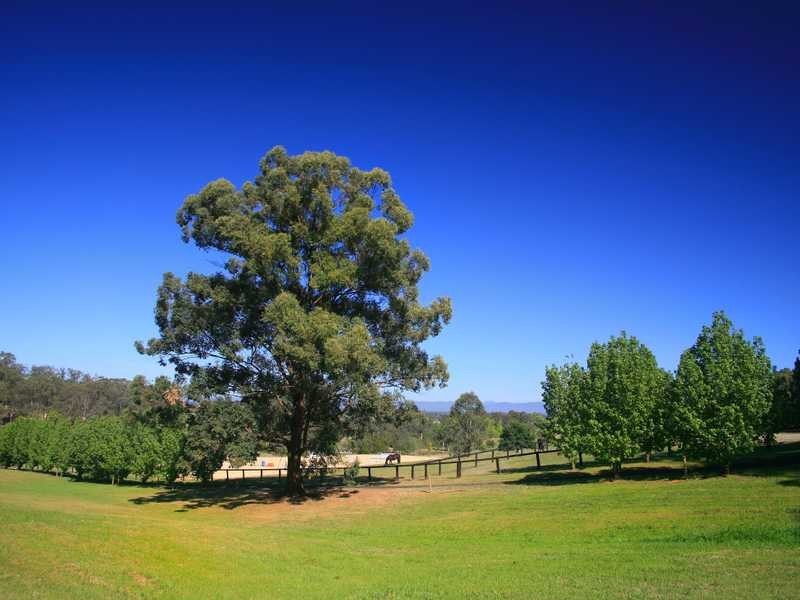 49 Schofield Road, Pitt Town NSW 2756