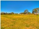 24 Pitt Town Rd, Kenthurst NSW 2156
