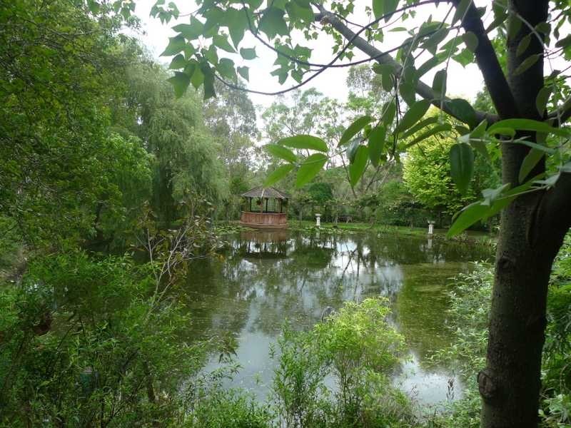 12 Burrawang Drive, Nelson NSW 2765