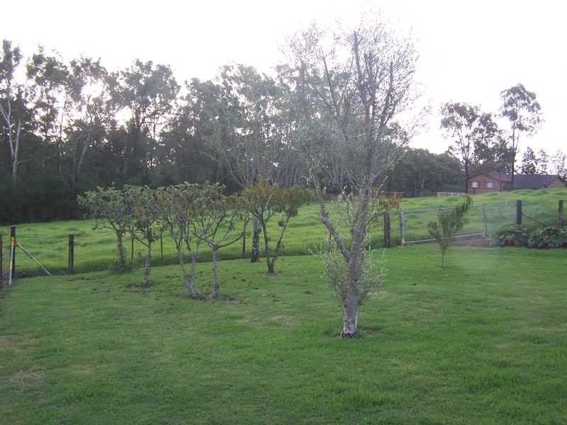 24 Scheyville Rd, Oakville NSW 2765