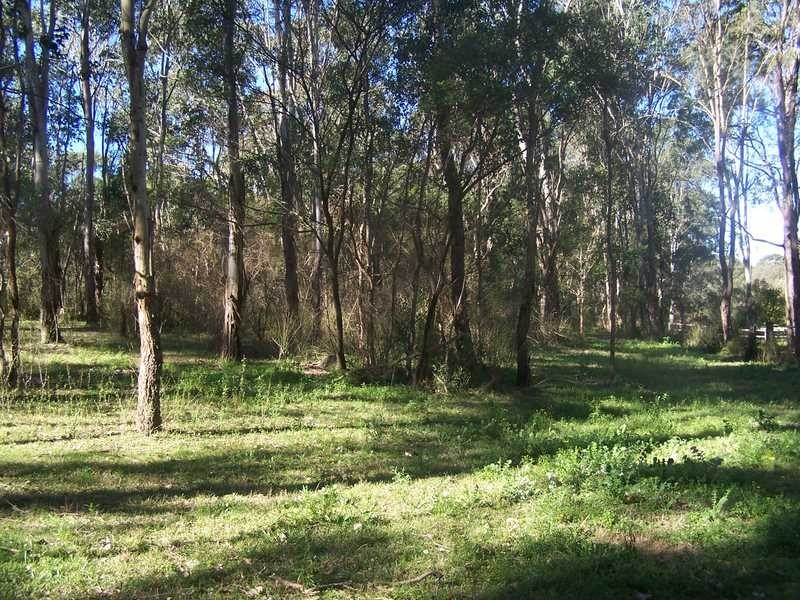 12 Hession Rd, Nelson NSW 2765