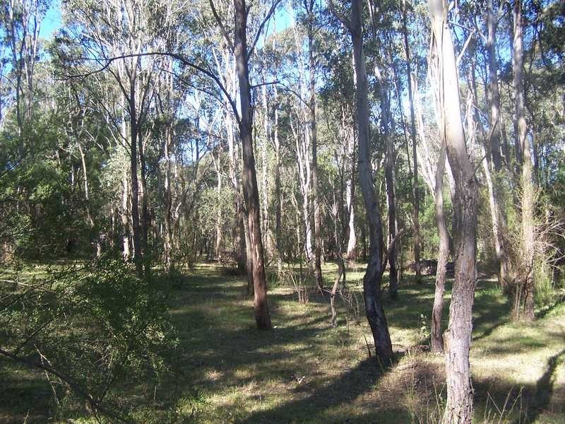 12 Hession Rd, Nelson NSW 2765