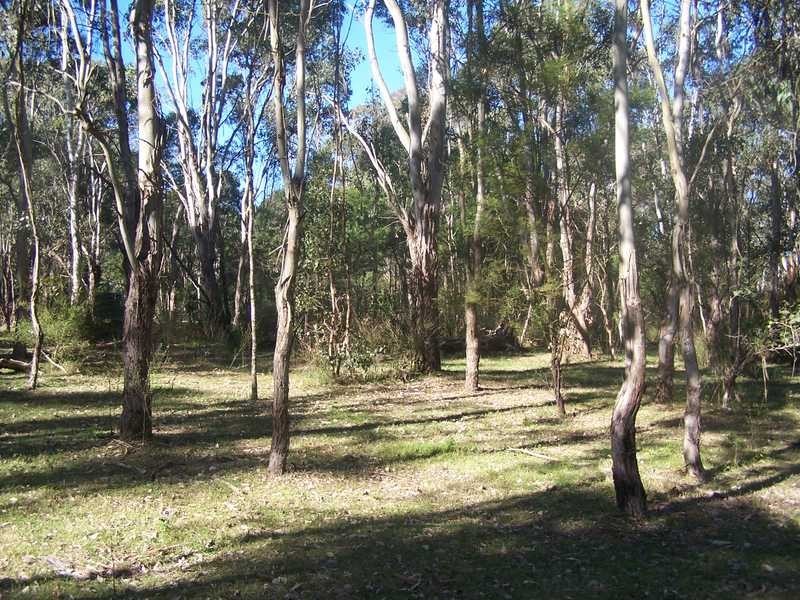 12 Hession Rd, Nelson NSW 2765