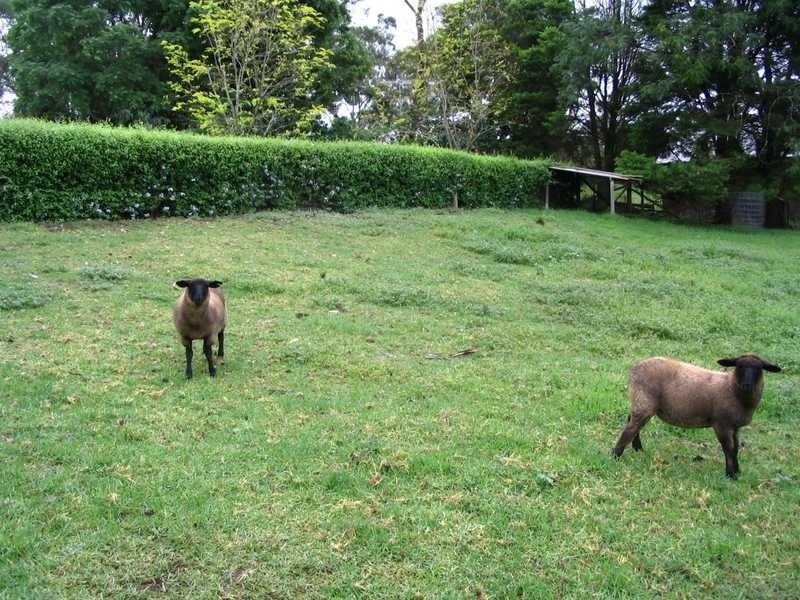 131 Pitt Town Road, Kenthurst NSW 2156