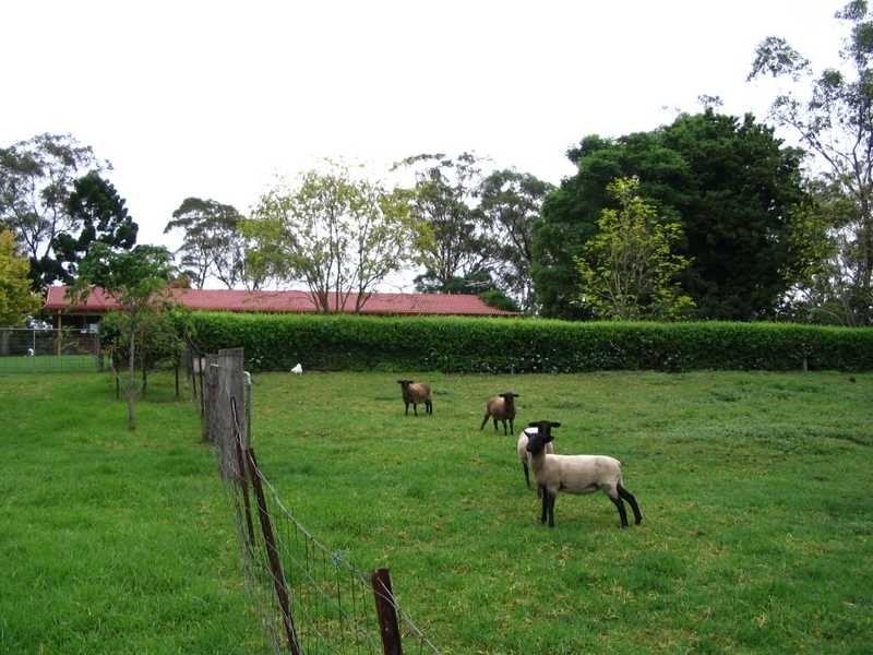 131 Pitt Town Road, Kenthurst NSW 2156