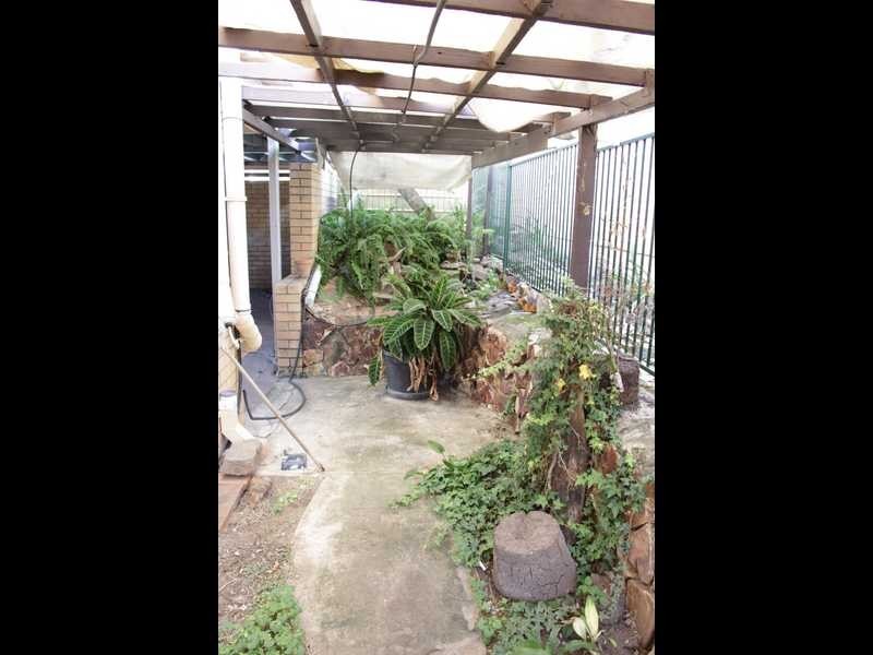 17 Cooinda Street, Eastern Heights QLD 4305