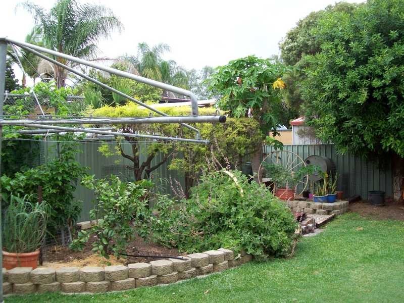 14 Sonter Street, Raceview QLD 4305