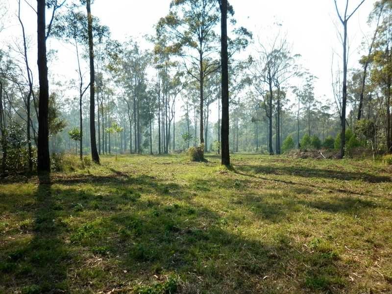 542 Haynes Kite Millar Road, Cherry Creek QLD 4306