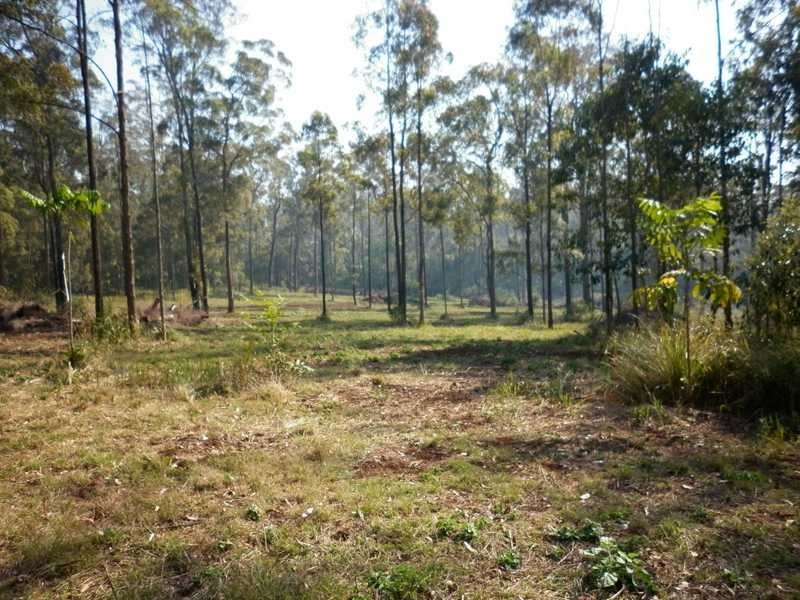 542 Haynes Kite Millar Road, Cherry Creek QLD 4306