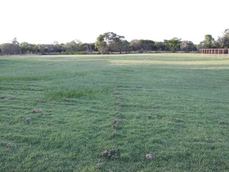 49-51 Willowbank Drive, Willowbank QLD 4306