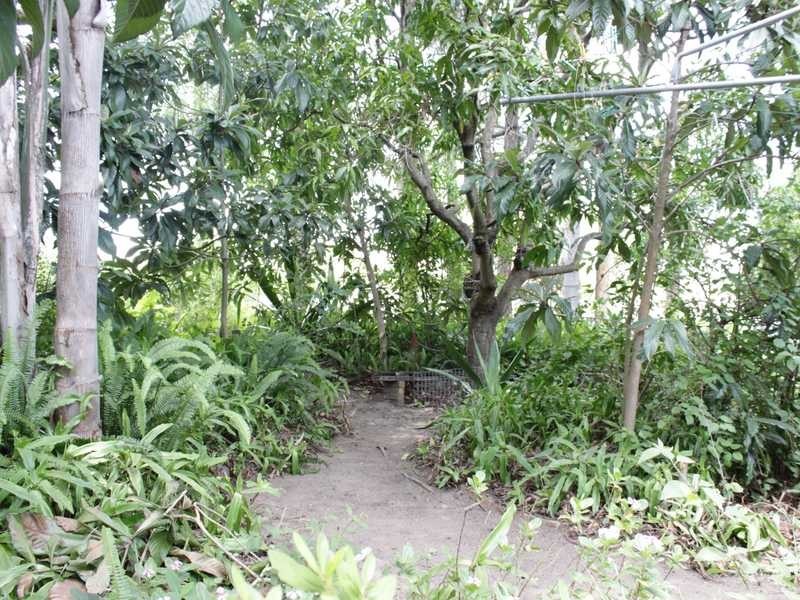 2 McLean Street, North Ipswich QLD 4305