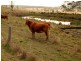 519 Munbilla Road, Kalbar QLD 4309