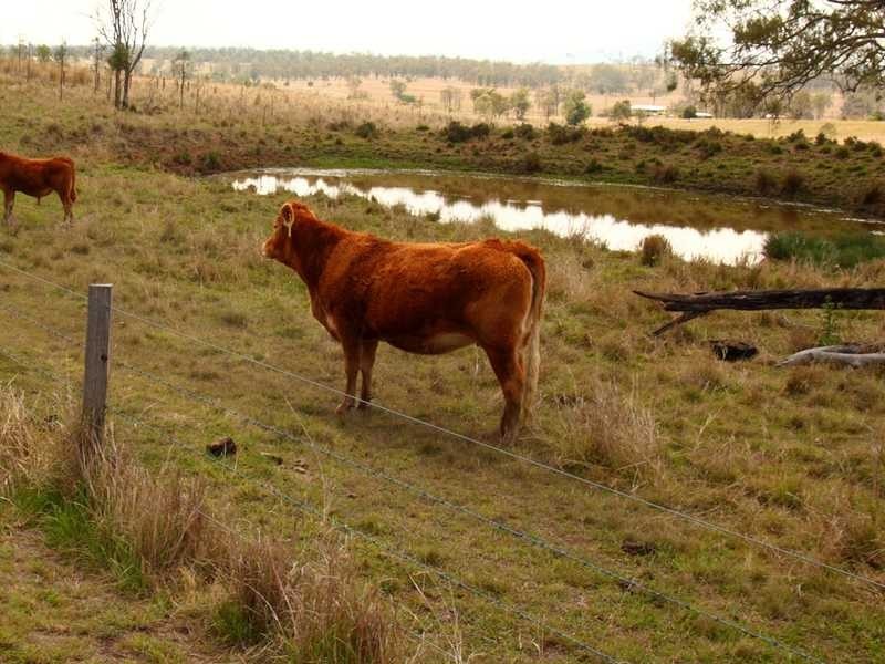519 Munbilla Road, Kalbar QLD 4309