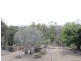 37 Rowland Tce, Coalfalls QLD 4305