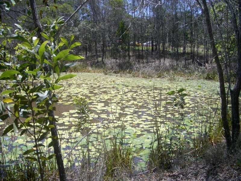 14 Gem Court, Alberton QLD 4207