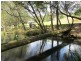 520 Cedar Creek Road, Cedar Creek QLD 4207