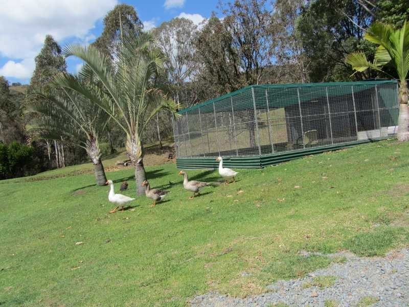 520 Cedar Creek Road, Cedar Creek QLD 4207