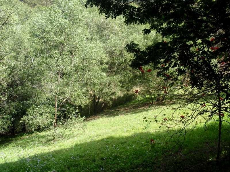 22 Janine Drive, Bahrs Scrub QLD 4207