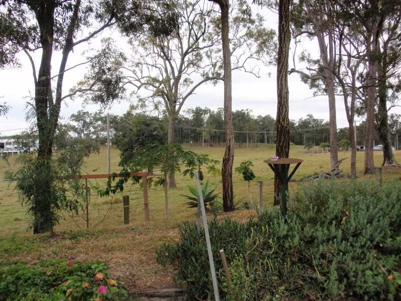 29 Cedar Drive, Stapylton QLD 4207