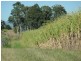 Alberton QLD 4207