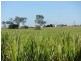 Alberton QLD 4207