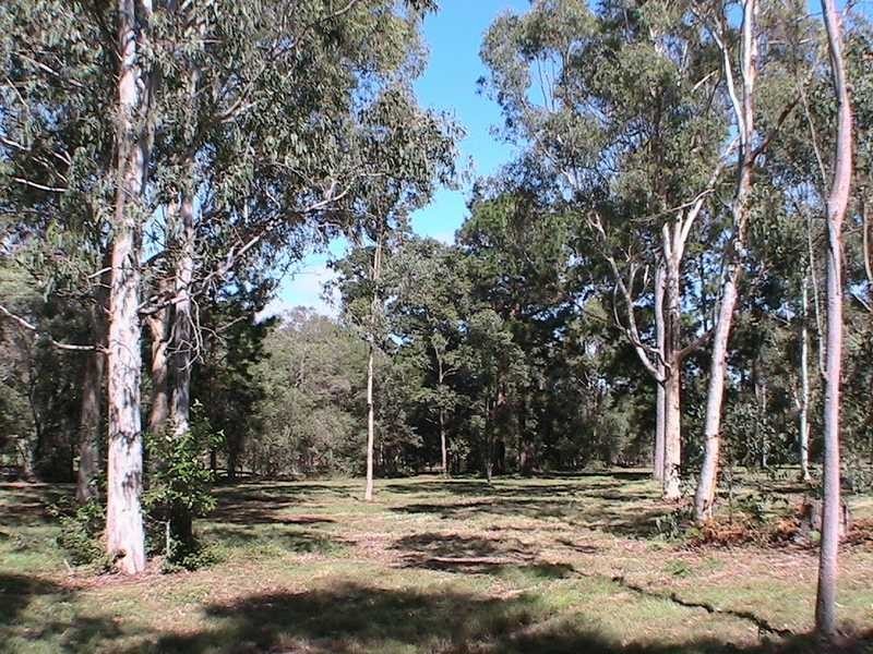 Logan Village QLD 4207