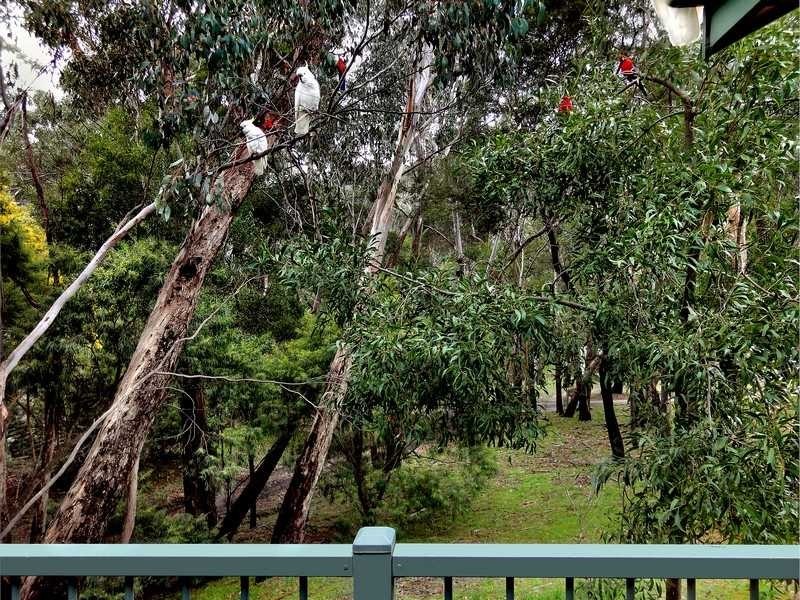 46 High Road, Halls Gap VIC 3381