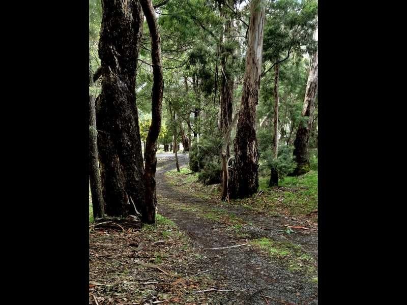 46 High Road, Halls Gap VIC 3381